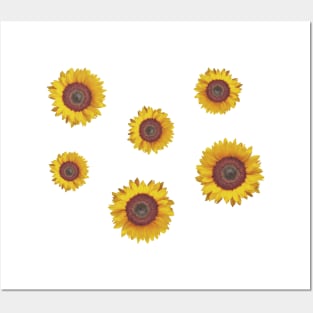 Sunflower Sticker Pack Posters and Art
